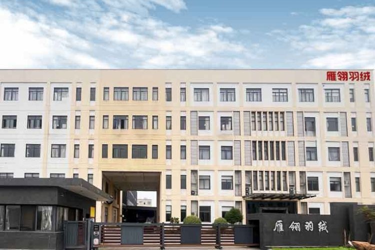 办公楼 杭州雁翎羽绒