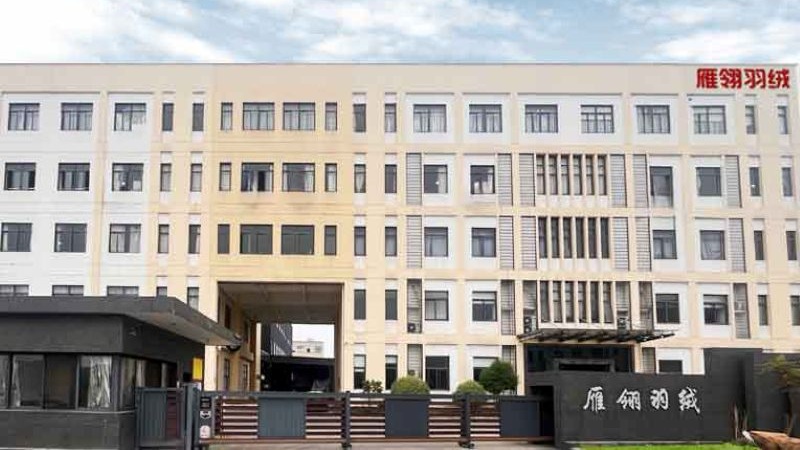 办公楼 杭州雁翎羽绒